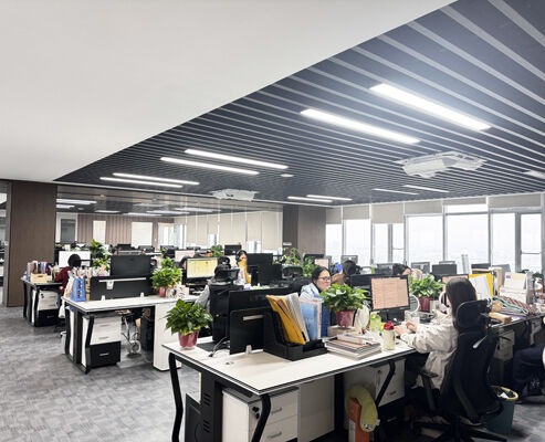 China SONSILL HOLDING company profile