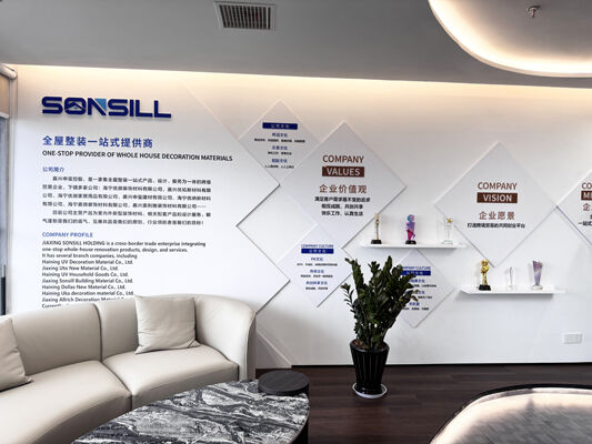 China SONSILL HOLDING company profile