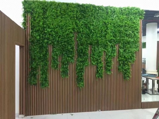 Co Extrusion Exterior WPC Wall Panel 219x26mm Outdoor Wall Panel