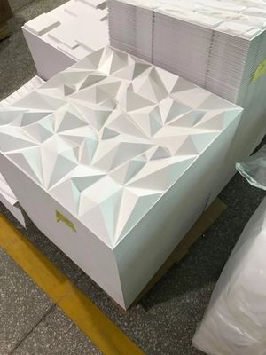 Indoor Outdoor Decorative 3D Wall Panels
