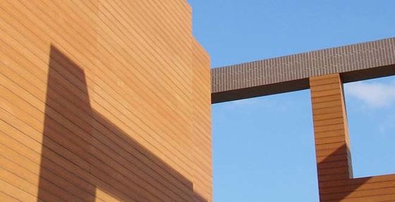 Co Extrusion Exterior Wpc Wall Panel Cladding Waterproof For Garden Decoration